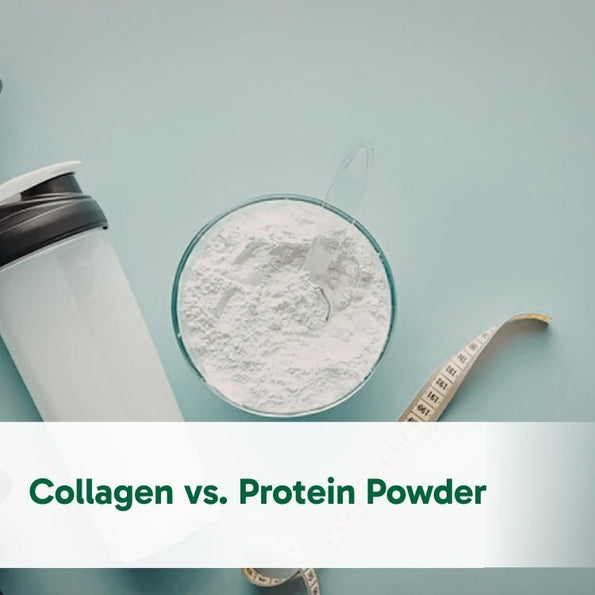 Collagen vs. Protein Powder: What’s the Difference? - Organika USA