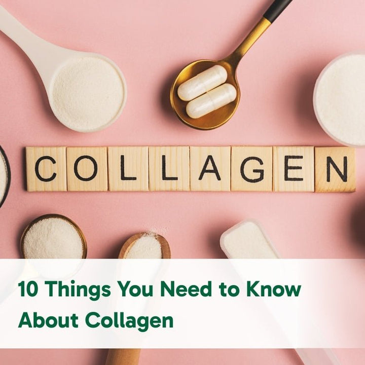 10 Things You Need to Know About Collagen - Organika USA