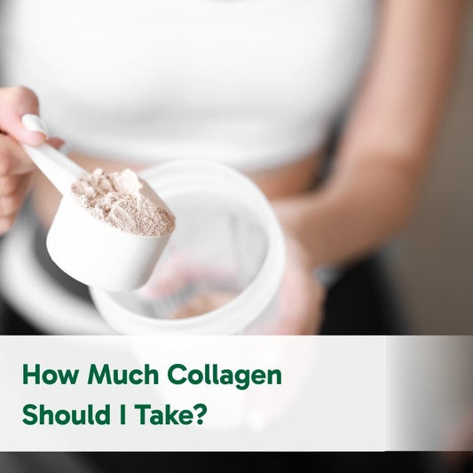 How Much Collagen Should I Take? - Organika USA