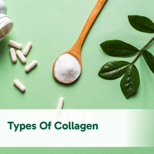 Types of Collagen: Differences, Benefits & Which One You Need - Organika USA
