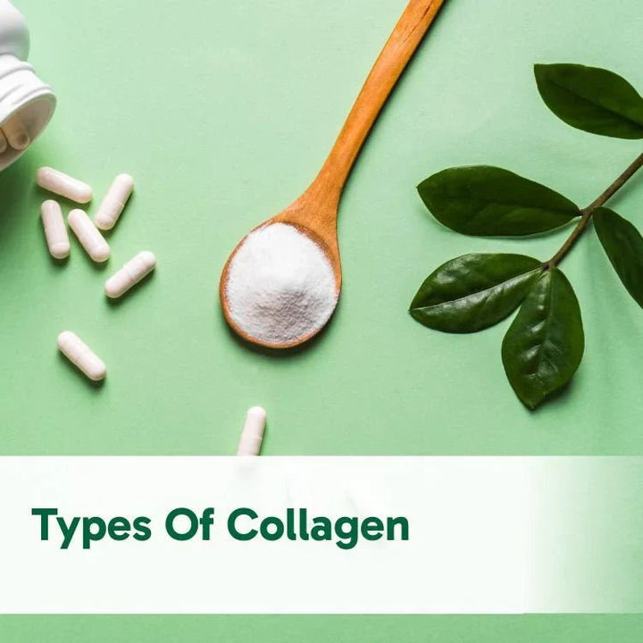 Types of Collagen: Differences, Benefits & Which One You Need - Organika USA